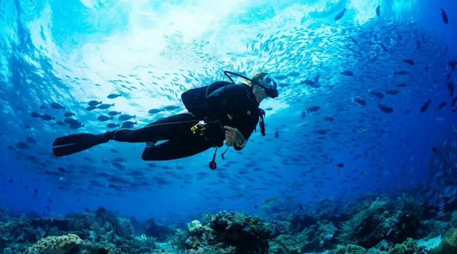 Scuba Diving In Pondicherry